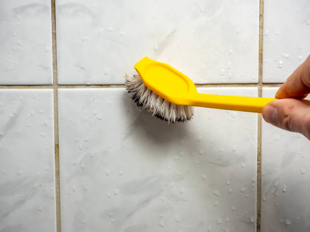 Best Mold Testing  in Dane, WI