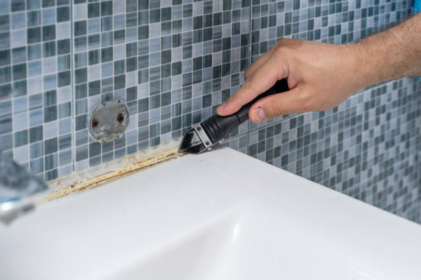 Best Home Mold Removal  in Dane, WI