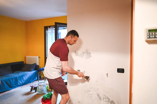Best Emergency Mold Removal  in Dane, WI